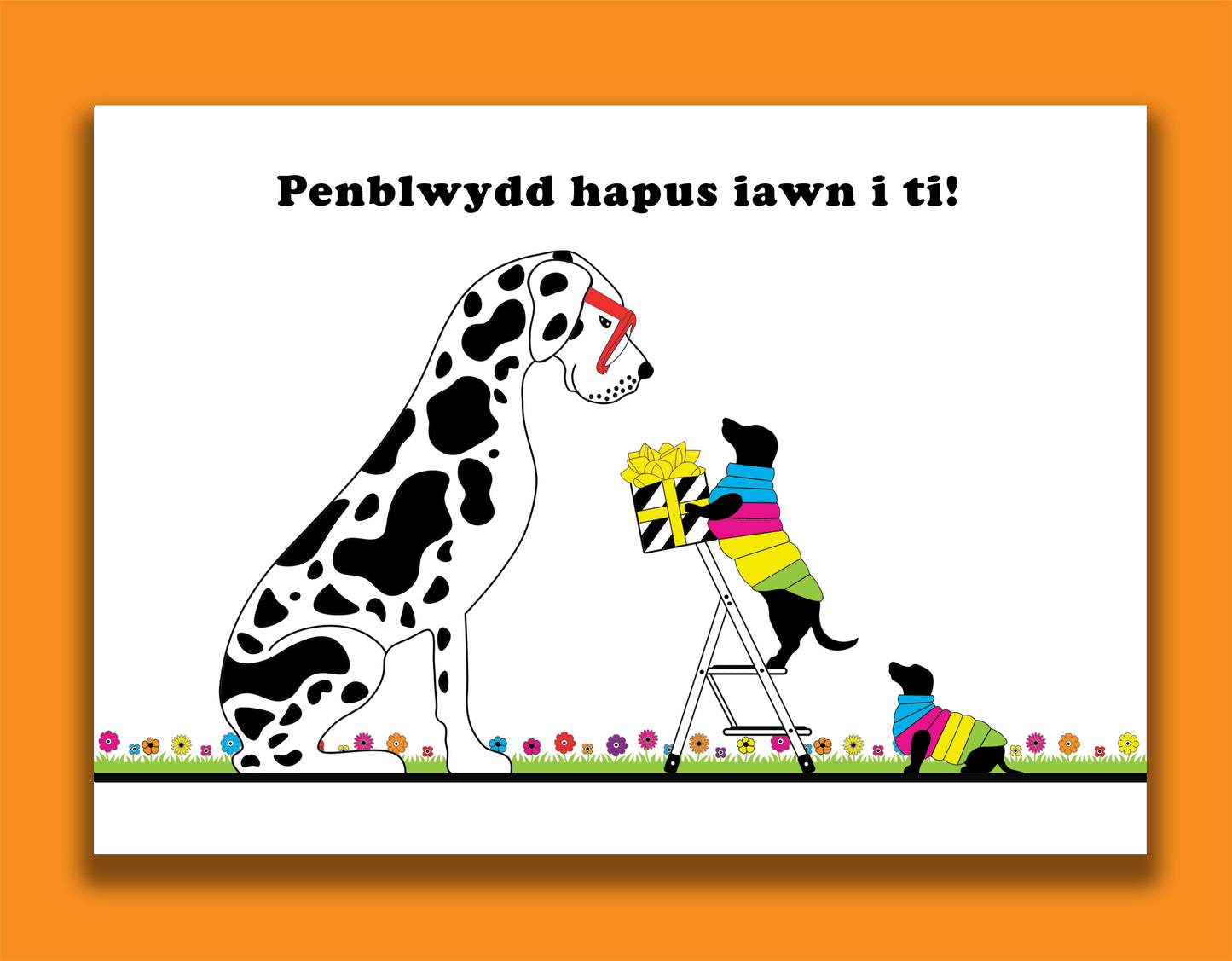 A Welsh birthday card featuring dachshunds, Mali & Penny.  This Welsh birthday card shows them handing their friend Dave, the Great Dane his birthday present.  Message reads - a very happy birthday to you. 