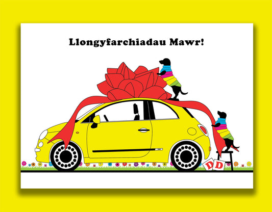 A Welsh driving test card featuring dachshunds, Mali & Penny.  This Welsh card shows them wrapping a lovely little yellow fiat in a big red bow to celebrate somebody passing a driving test.  Message reads - Many Congratulations.  