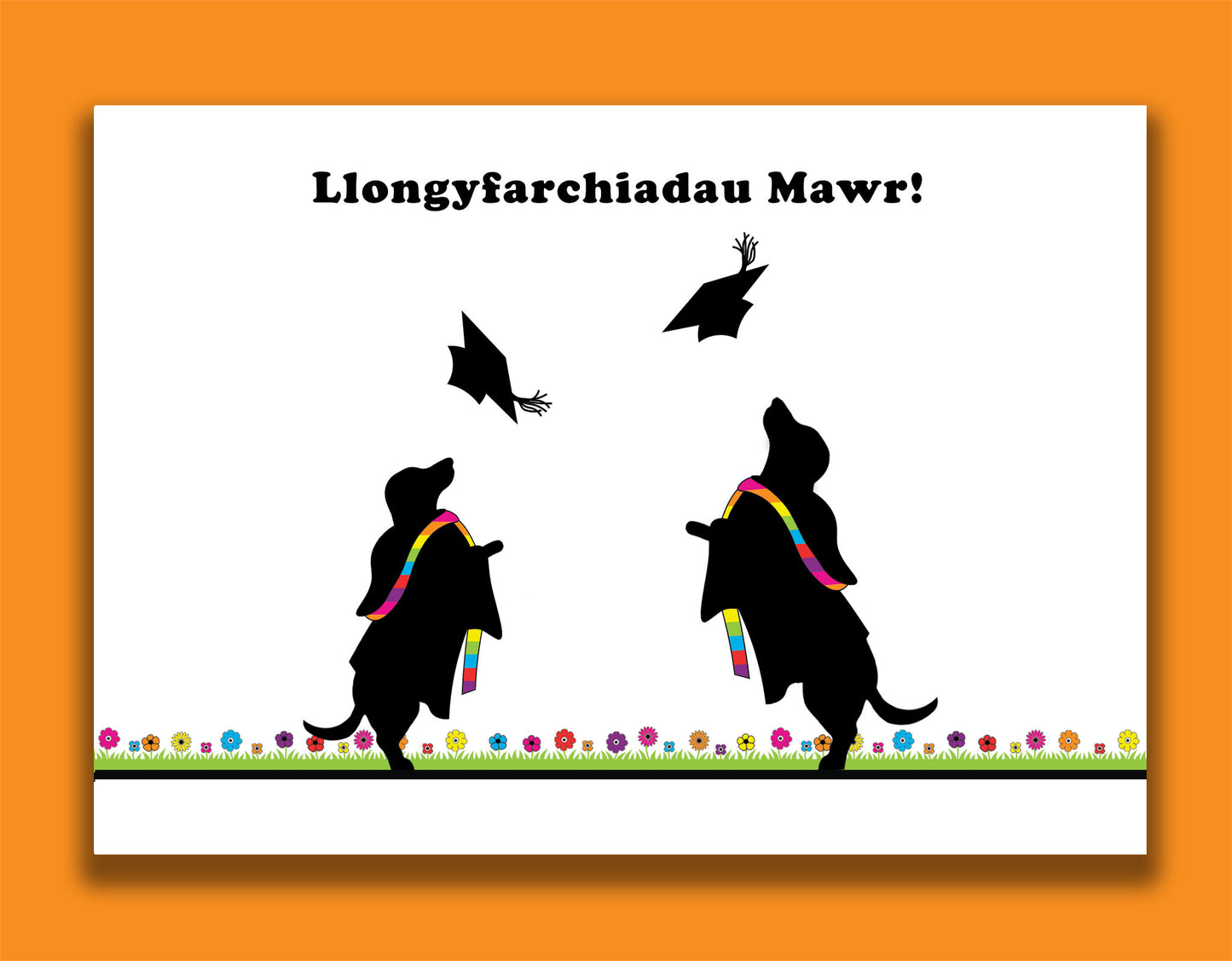 A Welsh graduation card featuring dachshunds, Mali & Penny.  This Welsh graduation card shows them dressed in gowns and throwing their caps in the air.  Message reads - Many congratulation.  