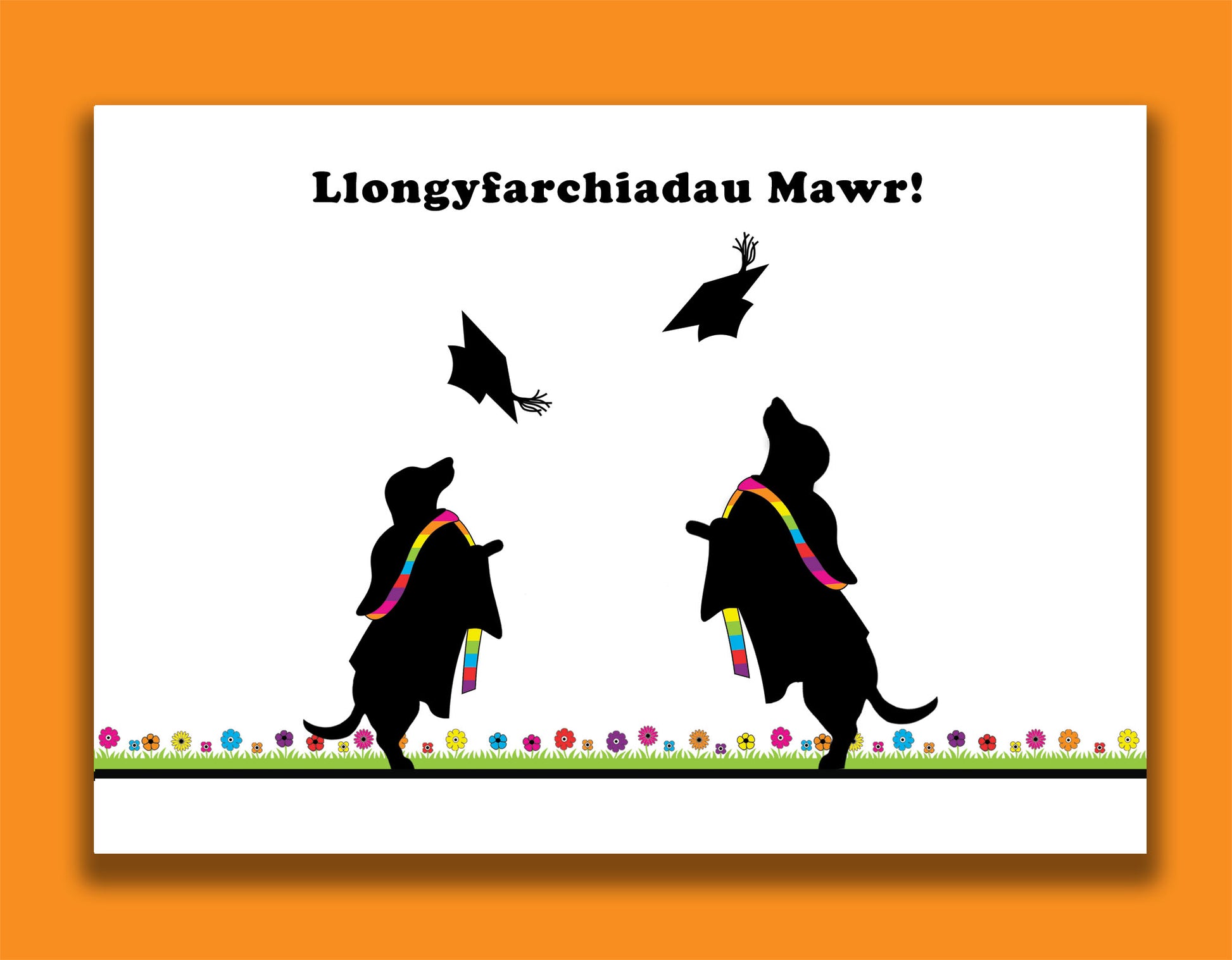 A Welsh graduation card featuring dachshunds, Mali & Penny.  This Welsh graduation card shows them dressed in gowns and throwing their caps in the air.  Message reads - Many congratulation.  